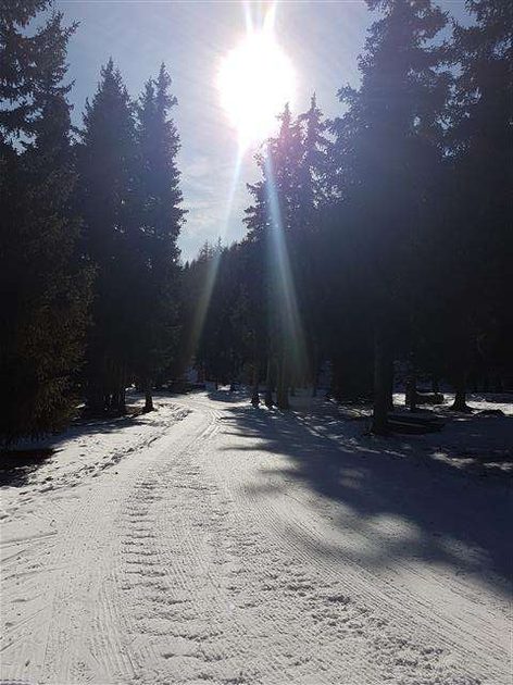 Cross country Torgnon