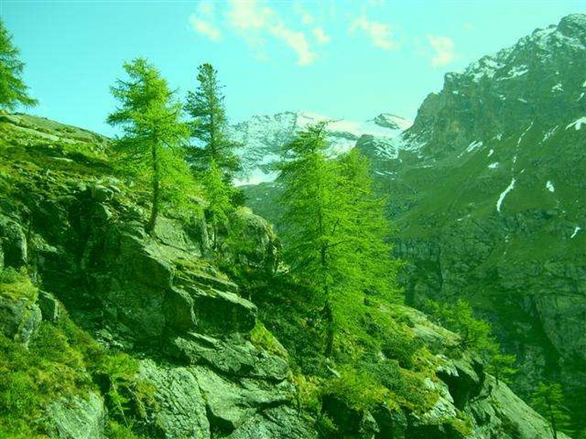 On the way up to the refugio from Valasavarenche